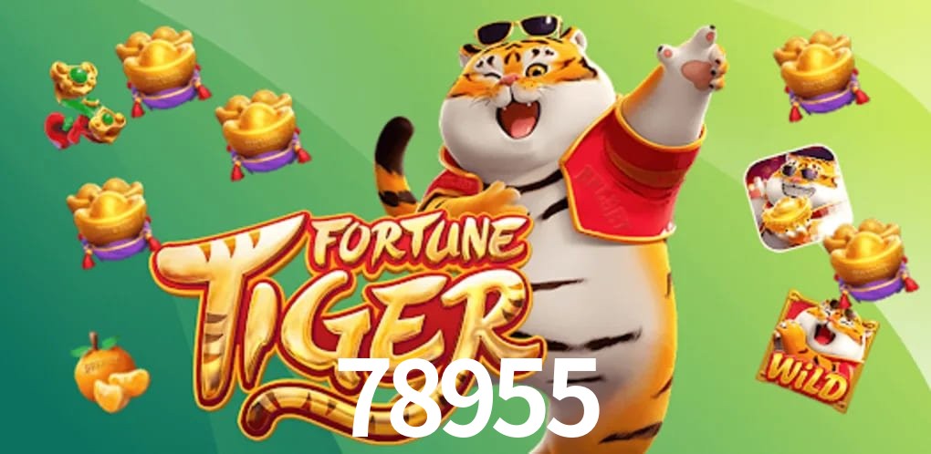 Bonus Features 78955